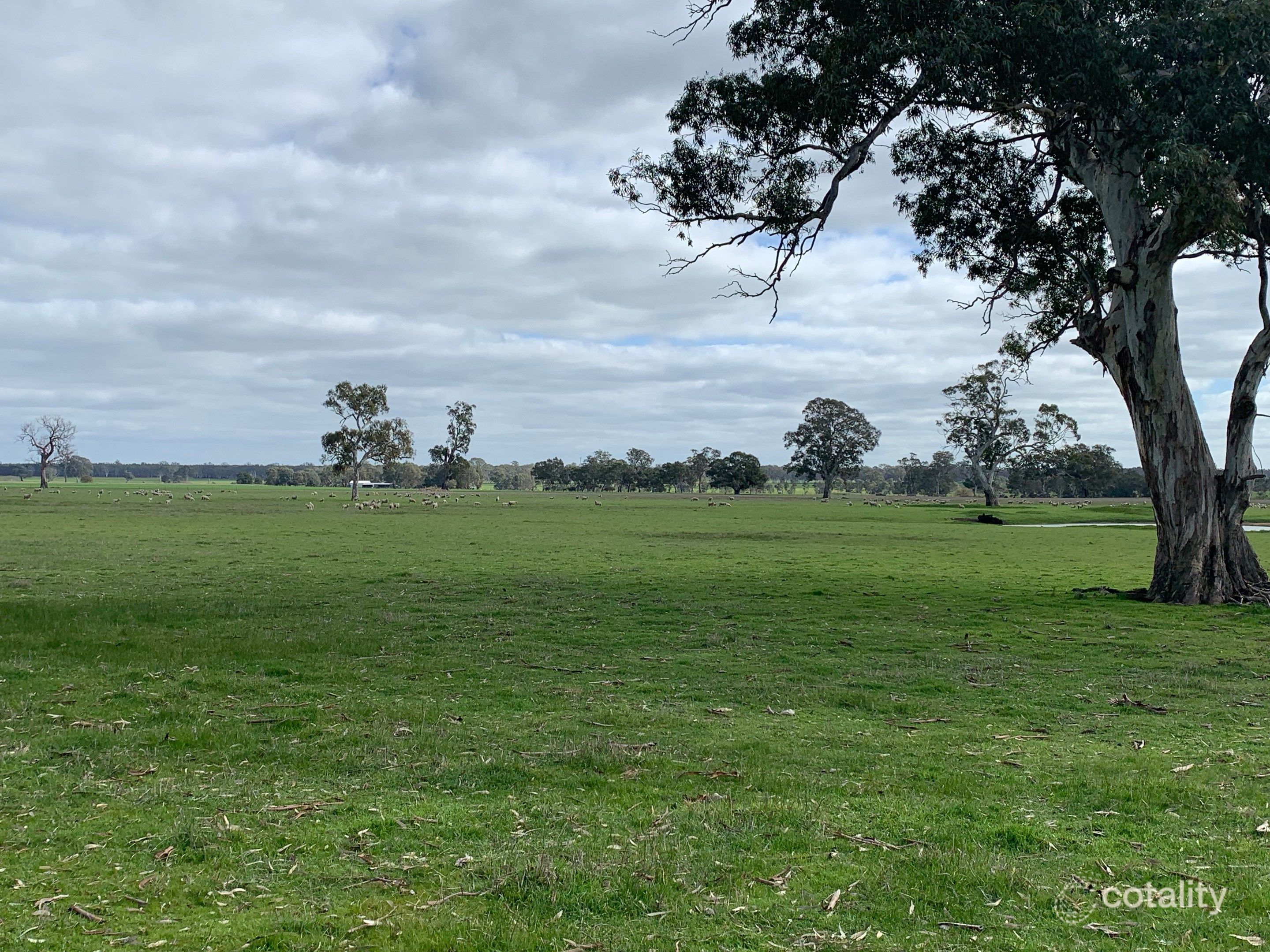 173 Mcclures Rd, Connewirricoo, VIC 3318