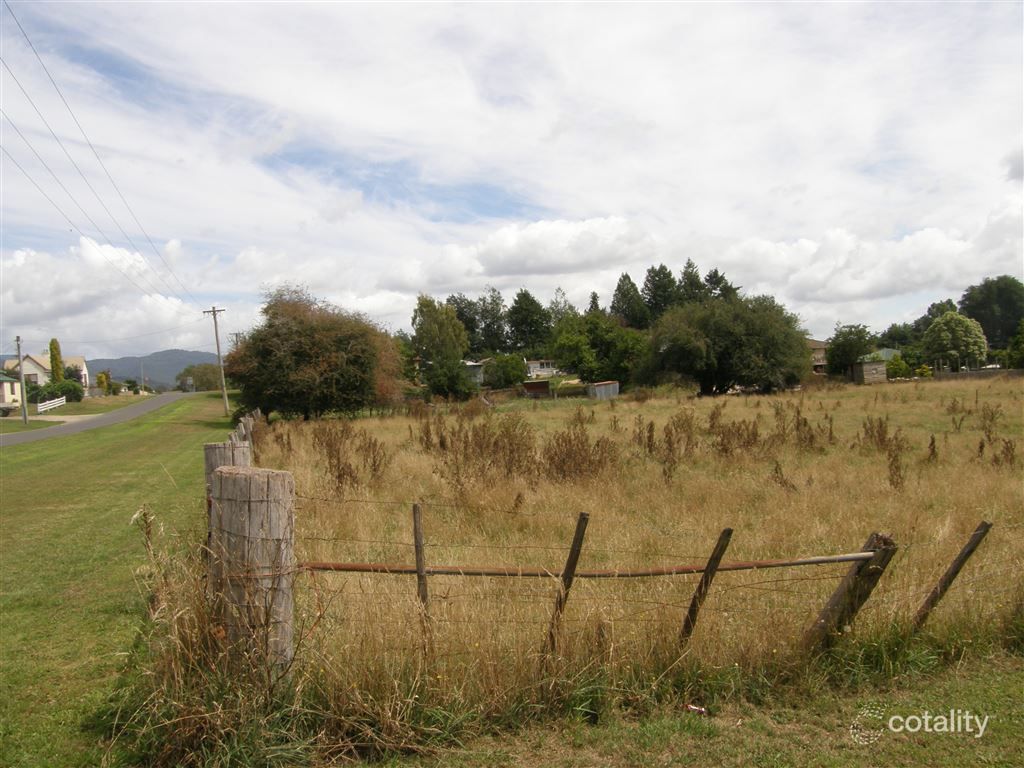 12 Charles St, Ringarooma, TAS 7263