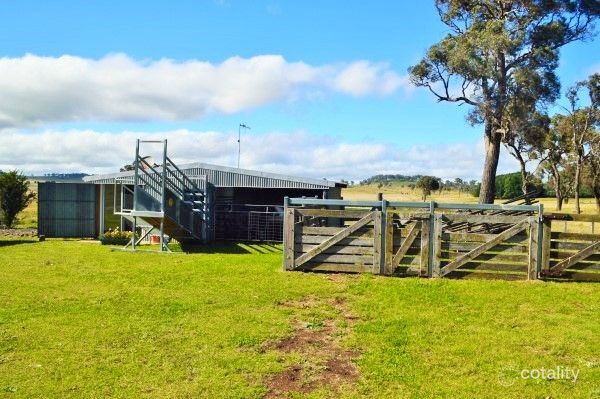 1 Albert St, Falconer, NSW 2365