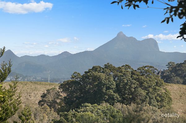 1130 Terranora Rd, North Tumbulgum, NSW 2490