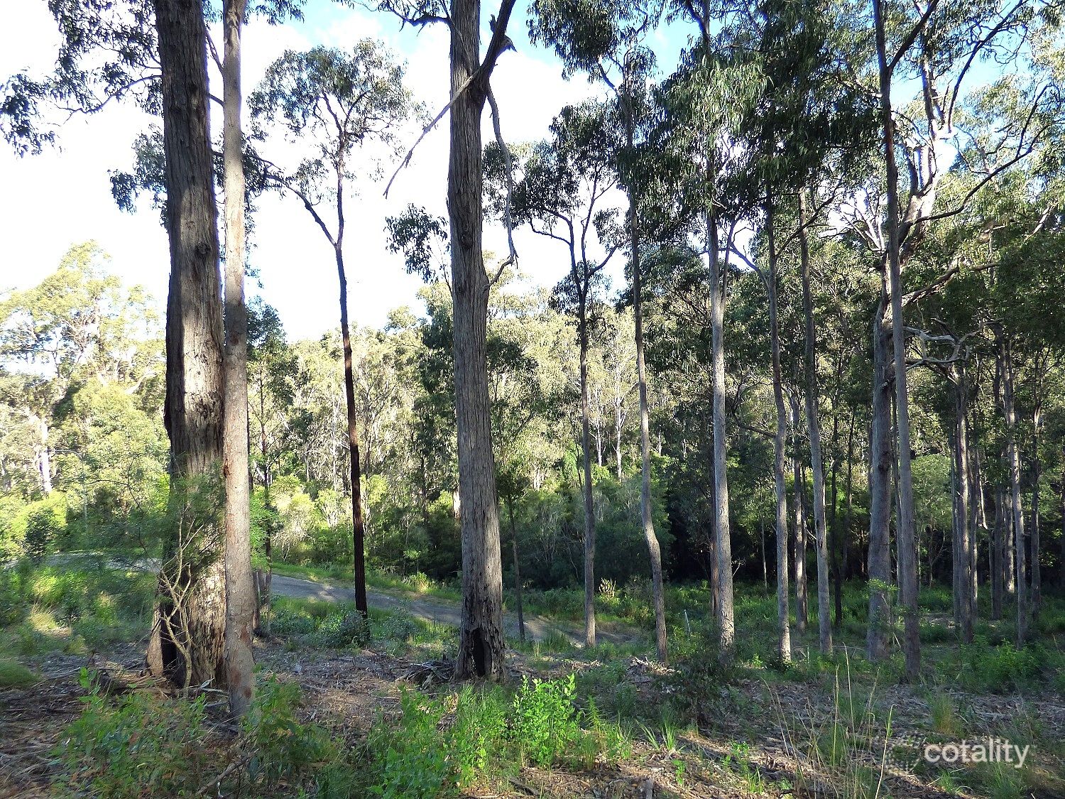 5 Whale Cove Cct, Eden, NSW 2551