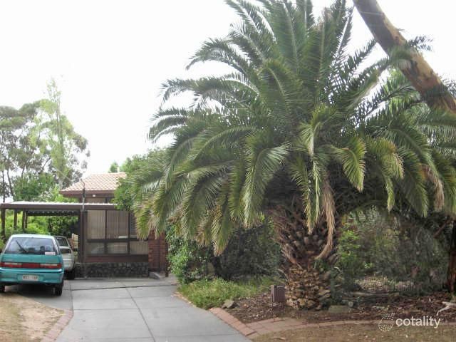 3 Leyte Dr, Surrey Downs, SA 5126