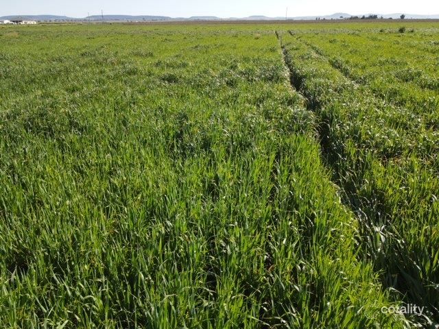 140 Beutel Rd, Clifton, QLD 4361