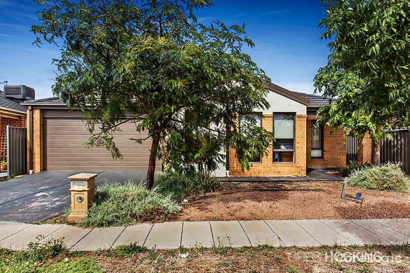 14 Kalorama St, Tarneit, VIC 3029