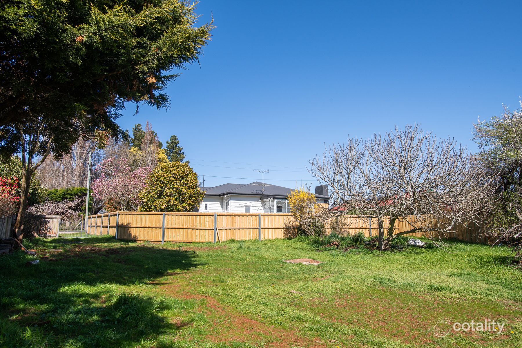 10 Grigg St, Deloraine, TAS 7304