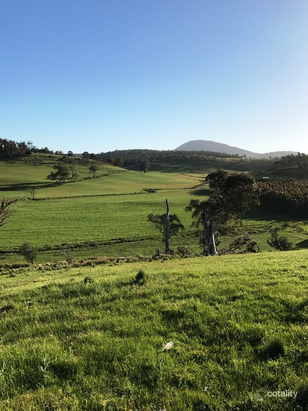 188 Tin Pot Marsh Rd, Woodsdale, TAS 7120