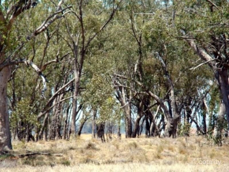 17 Dandaloo St, Trangie, NSW 2823