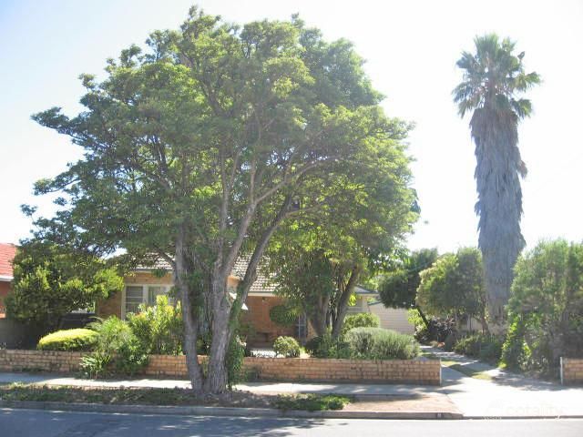 8 Lynmouth Ave, North Brighton, SA 5048