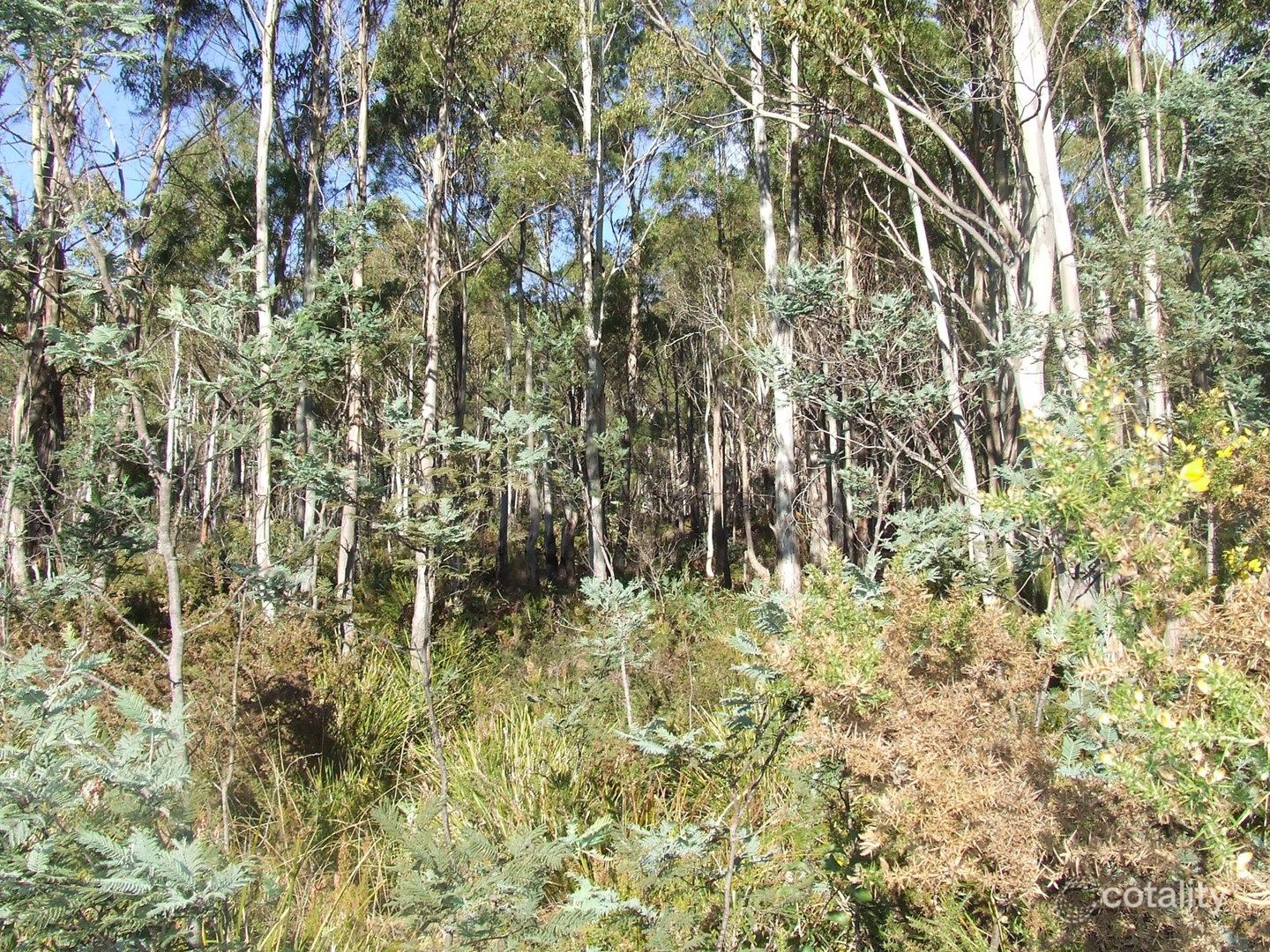 1 Irish Town Rd, St Marys, TAS 7215