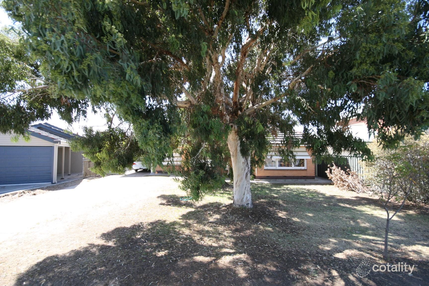 84 Pine Ave, Novar Gardens, SA 5040