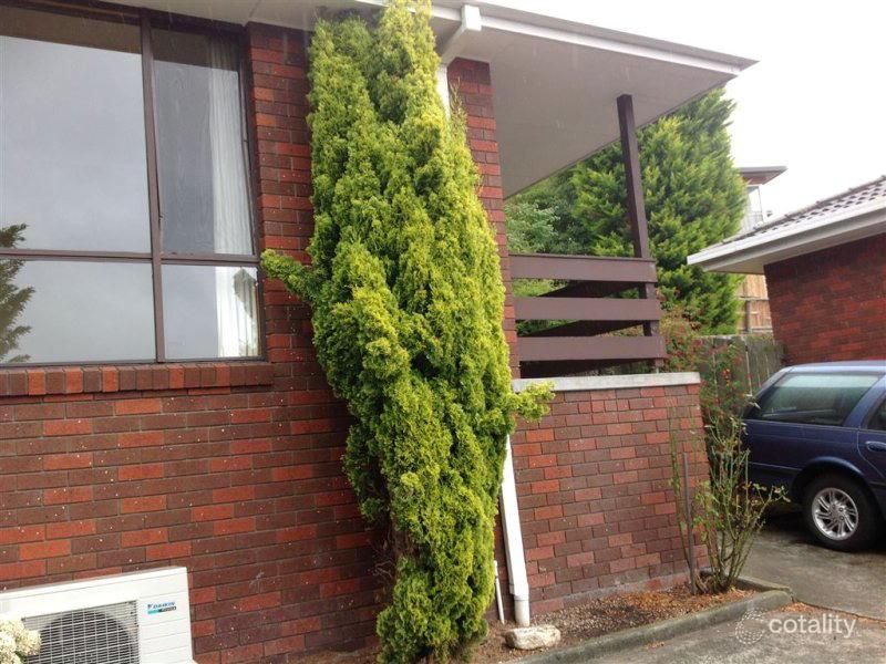 2/6a Moss Park Dr, New Town, TAS 7008
