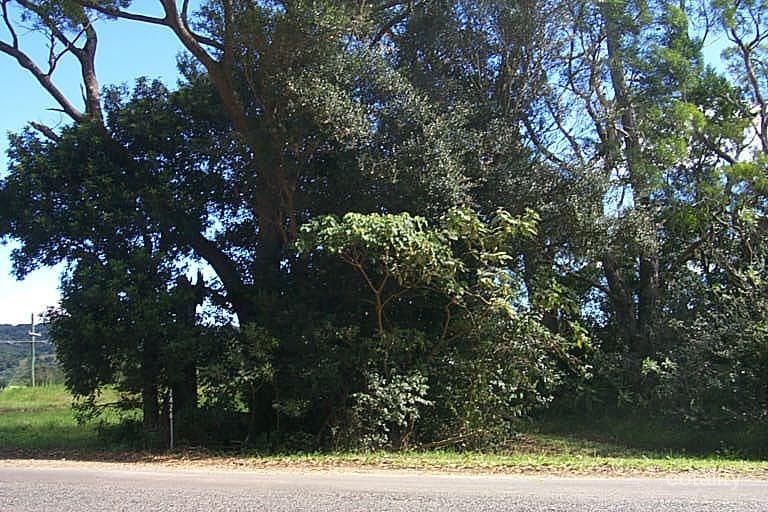 2426 Springbrook Rd, Springbrook, QLD 4213