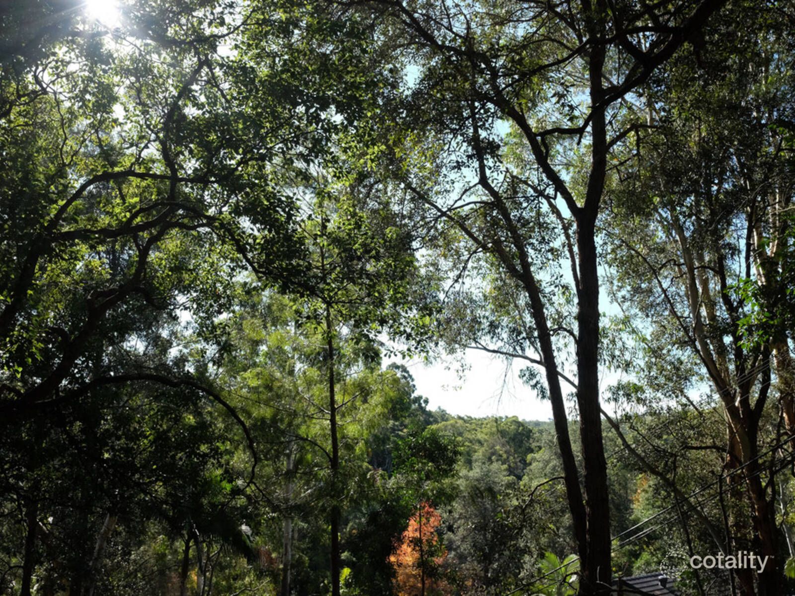 11 Rothwell Rd, Turramurra, NSW 2074