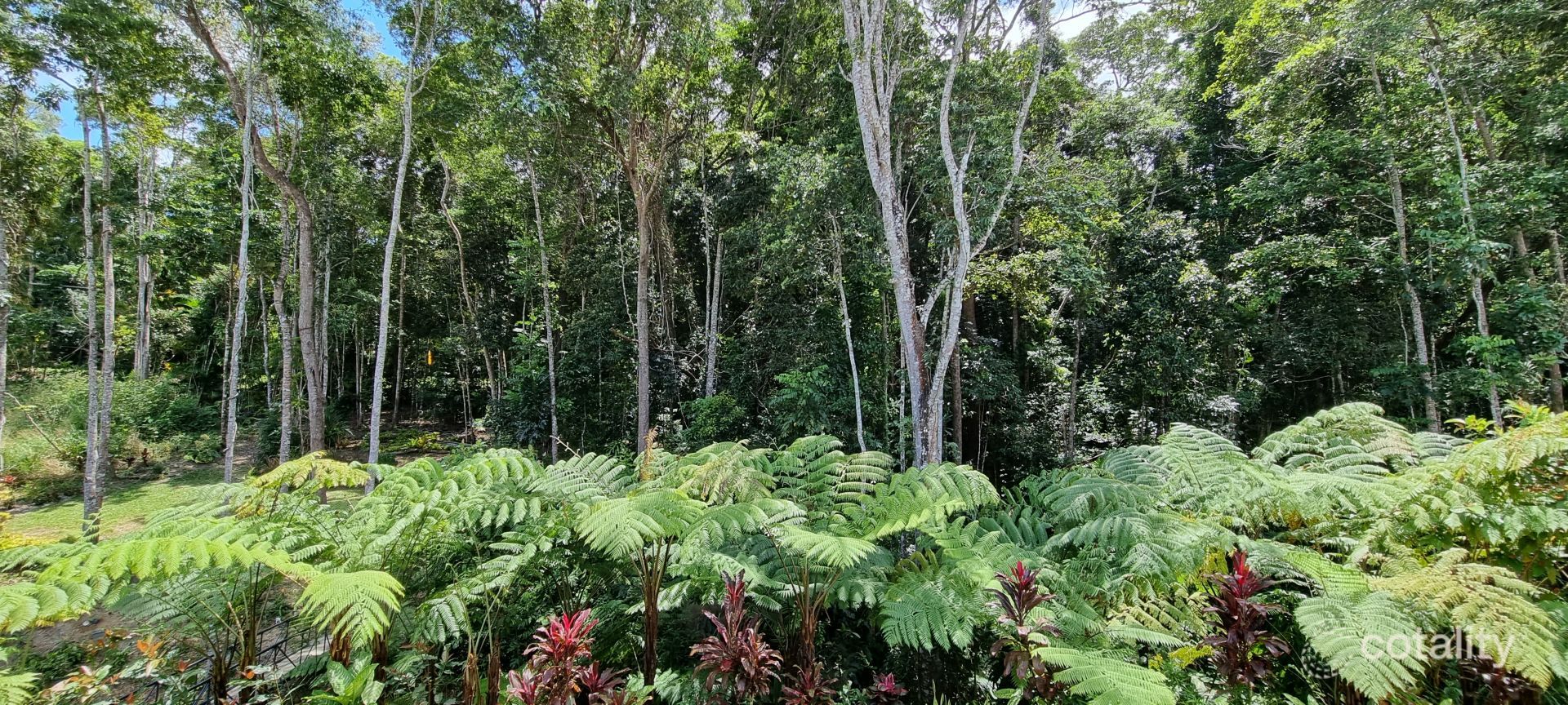 9 Tully Ct, Kuranda, QLD 4881