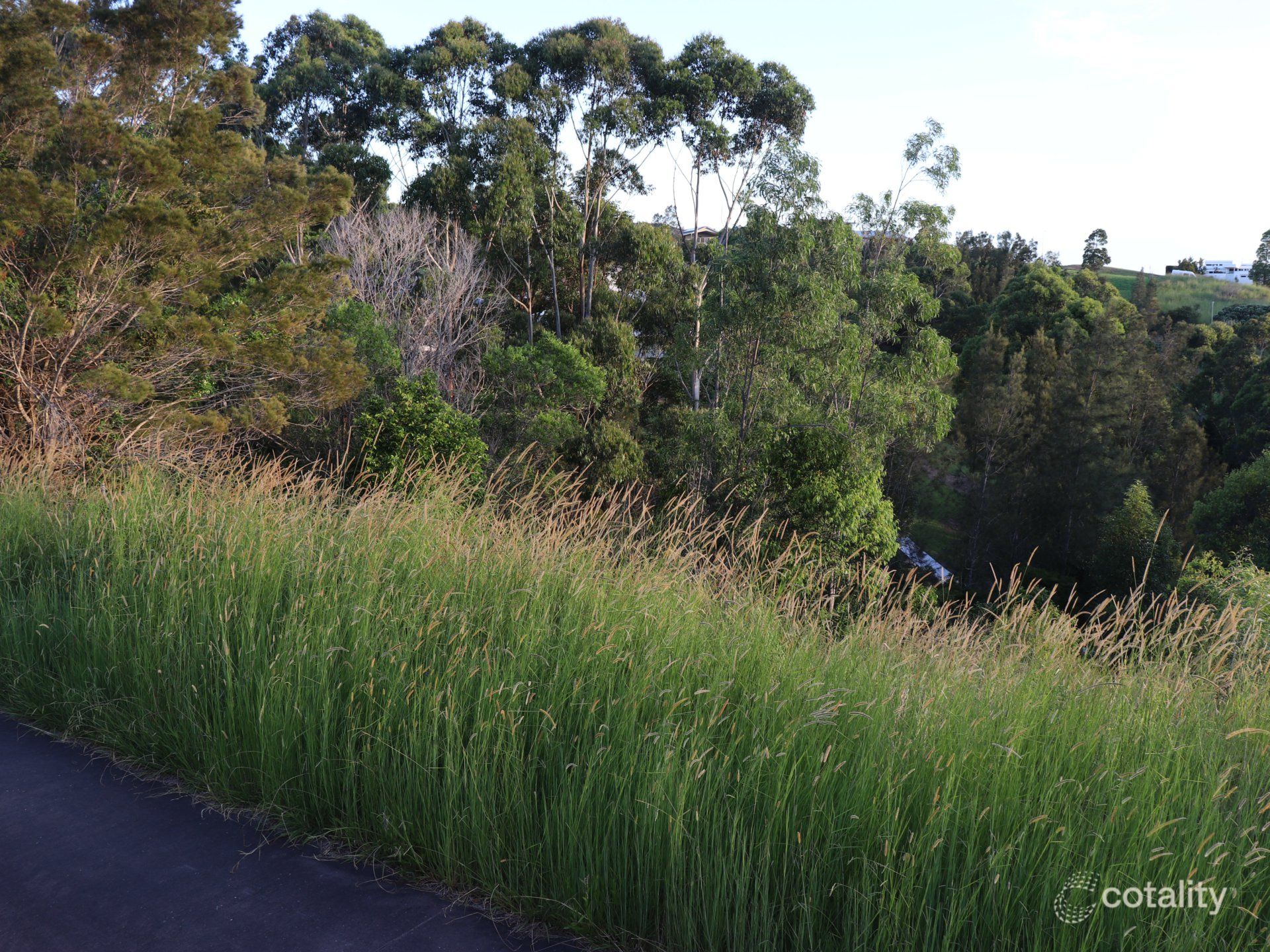 13 Lorikeet Way, Tallwoods Village, NSW 2430