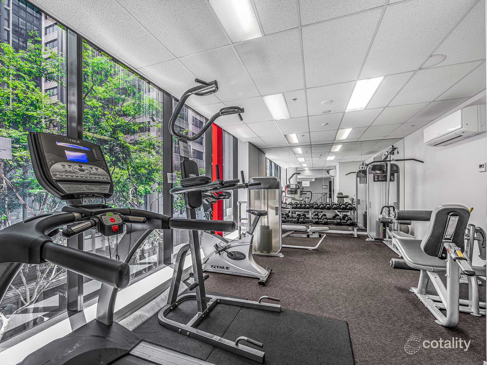 2002/127 Charlotte St, Brisbane City, QLD 4000