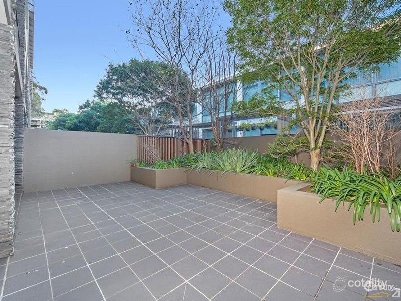 146/14 Griffin Pl, Glebe, NSW 2037