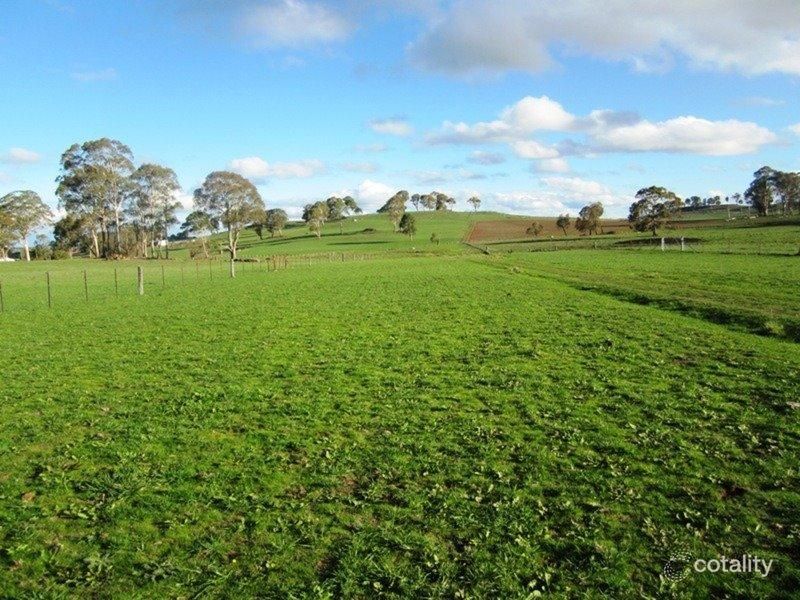 219 Rixons Rd, Falconer, NSW 2365