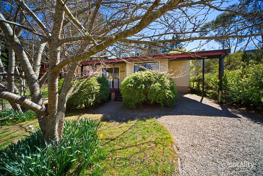 3 Bellevue Ave, Blackheath, NSW 2785