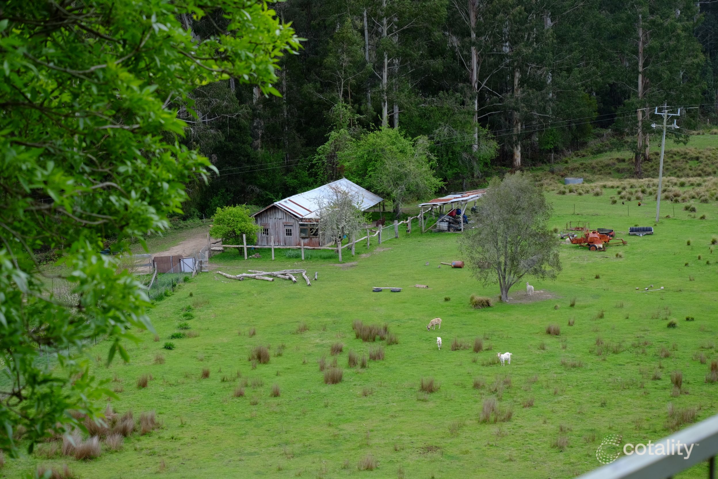 11 Sardine Creek Rd, Goongerah, VIC 3888