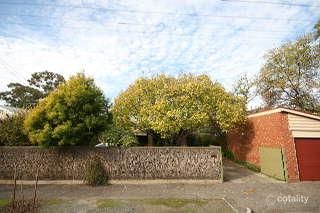 25 Fern Ave, Fullarton, SA 5063