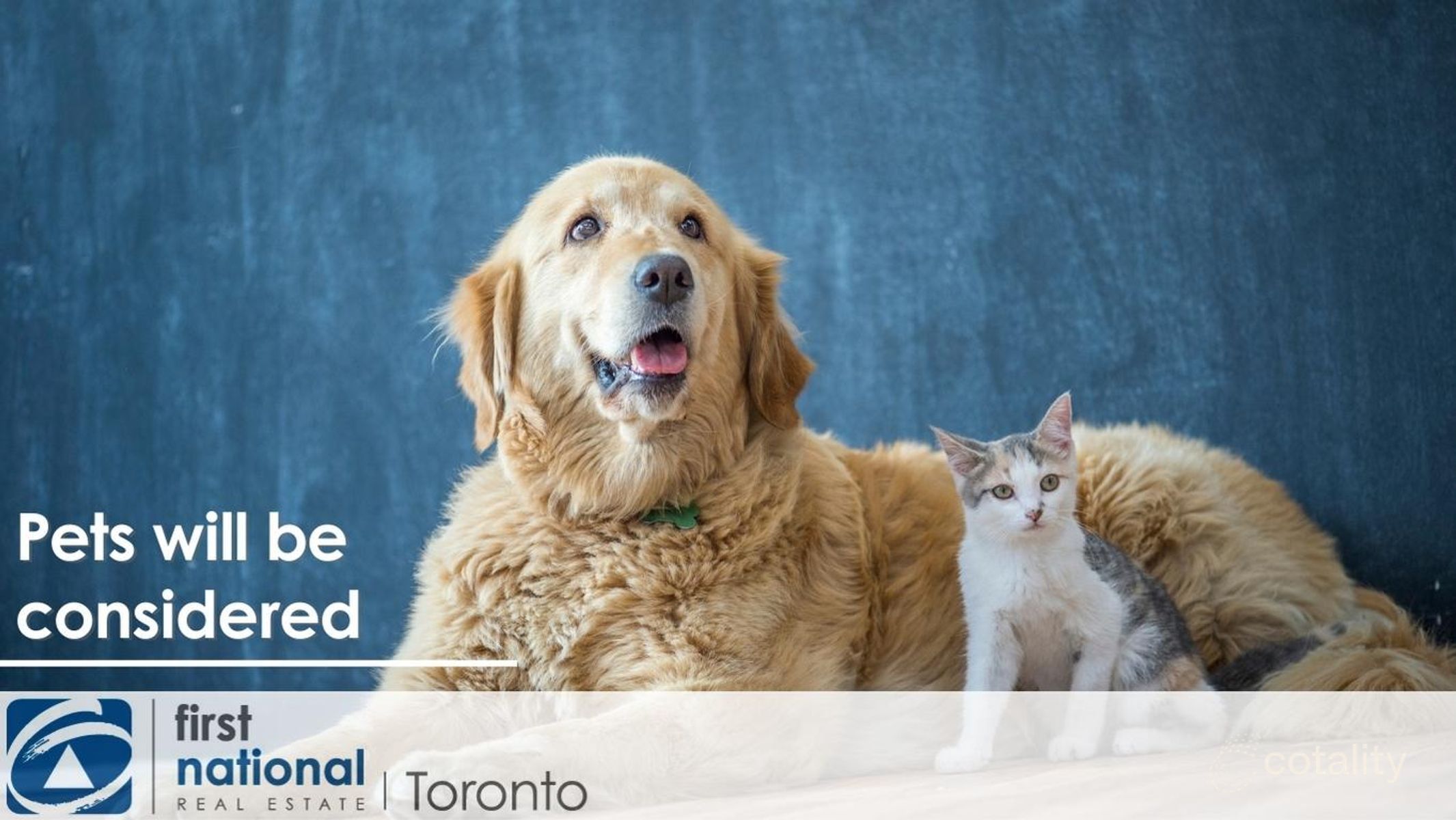 20 Canowie Cres, Buttaba, NSW 2283