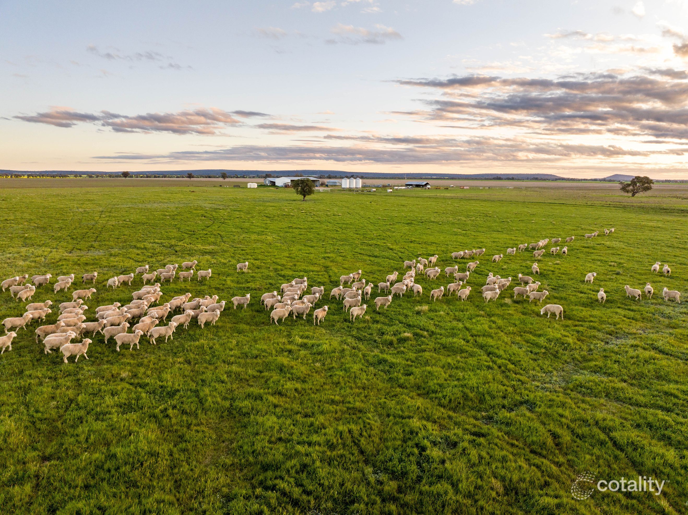 330 Hulmes Rd, Brobenah, NSW 2705