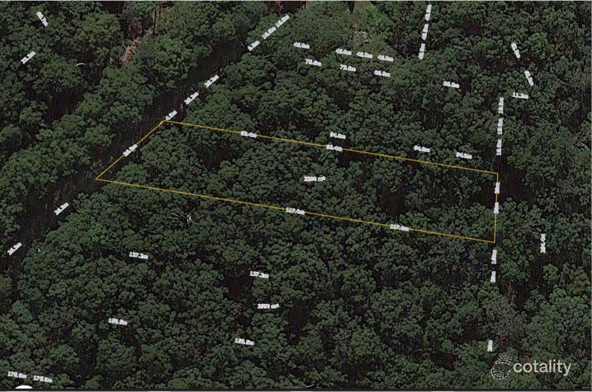 1935 Springbrook Rd, Springbrook, QLD 4213