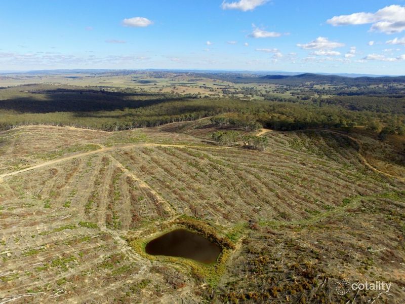 629 Mullins Creek Rd, Gurrundah, NSW 2581