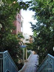 4/85 Palmer St, Balmain, NSW 2041