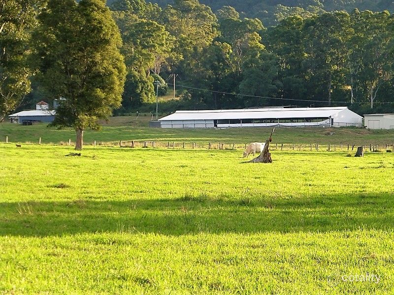 1036 Mountain Top Rd, Nimbin, NSW 2480