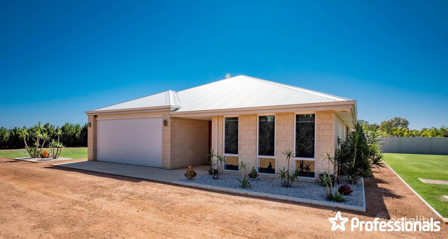 439 Alexander Dr, Glenfield, WA 6532