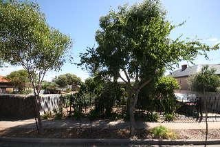 25 Jervois St, Torrensville, SA 5031