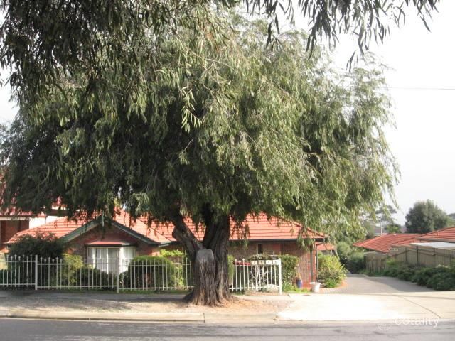 6 Gilbertson Rd, Seacliff Park, SA 5049