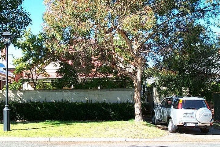 7 Rawson St, Subiaco, WA 6008