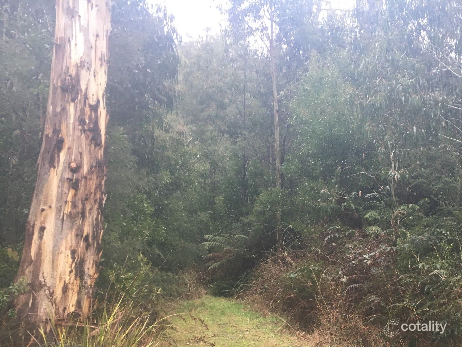 30 Aubrey Cuzens Dr, Marysville, VIC 3779