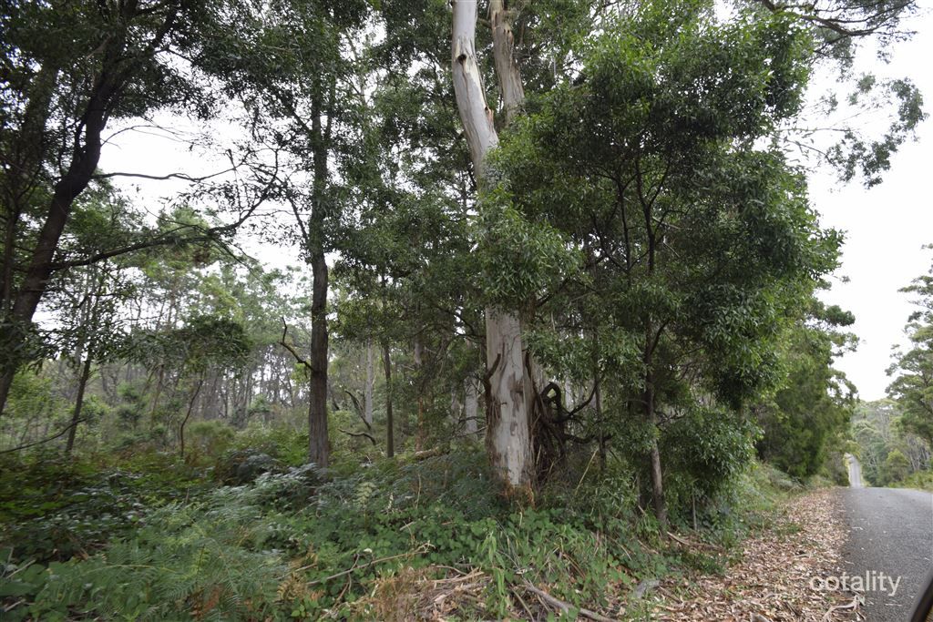 4 North St, Elizabeth Town, TAS 7304