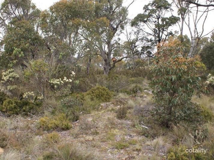 104 Jones Rd, Miena, TAS 7030