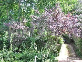 15 Everglades Ave, Leura, NSW 2780