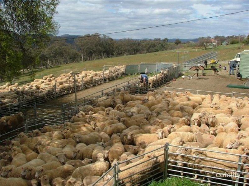 Lot 13 Mount Costigan Rd, Tuena, NSW 2583