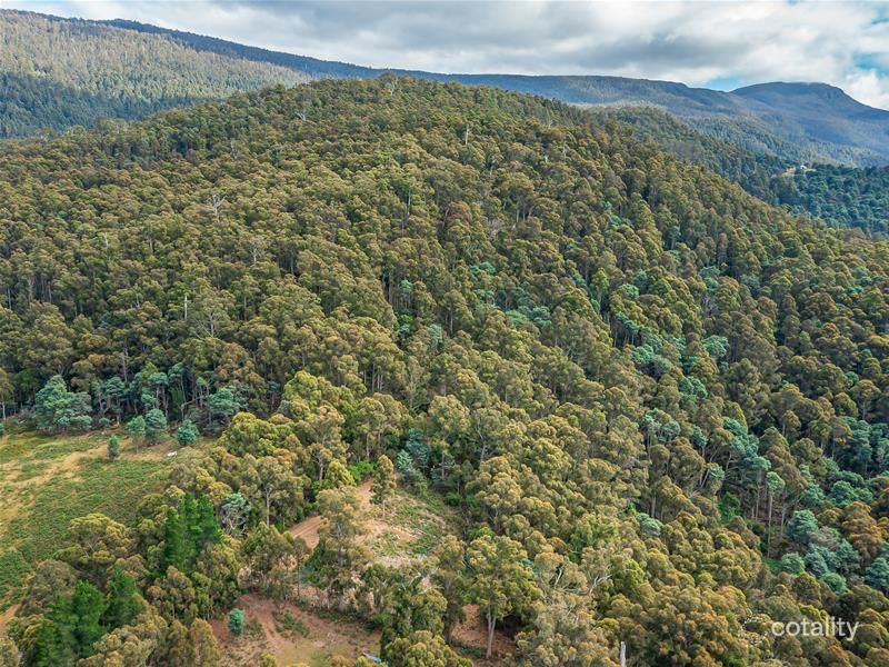 Lot 1 Fyfes Rd, Mountain River, TAS 7109