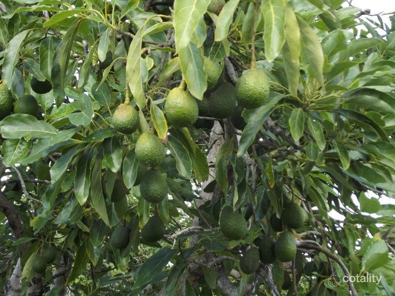 73 Richters Rd, Winfield, QLD 4670