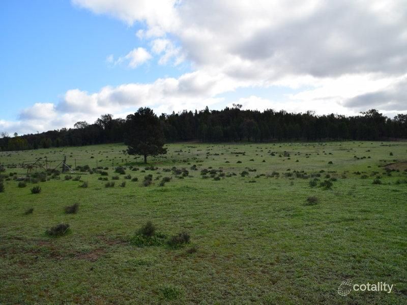 60l Dilladerry Rd, Wambangalang, NSW 2830