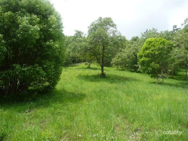 49 Whispering Gum Ave, Eumundi, QLD 4562