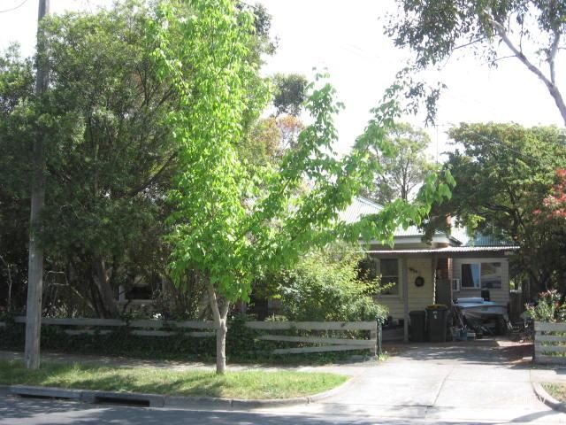 95a Esdale St, Nunawading, VIC 3131