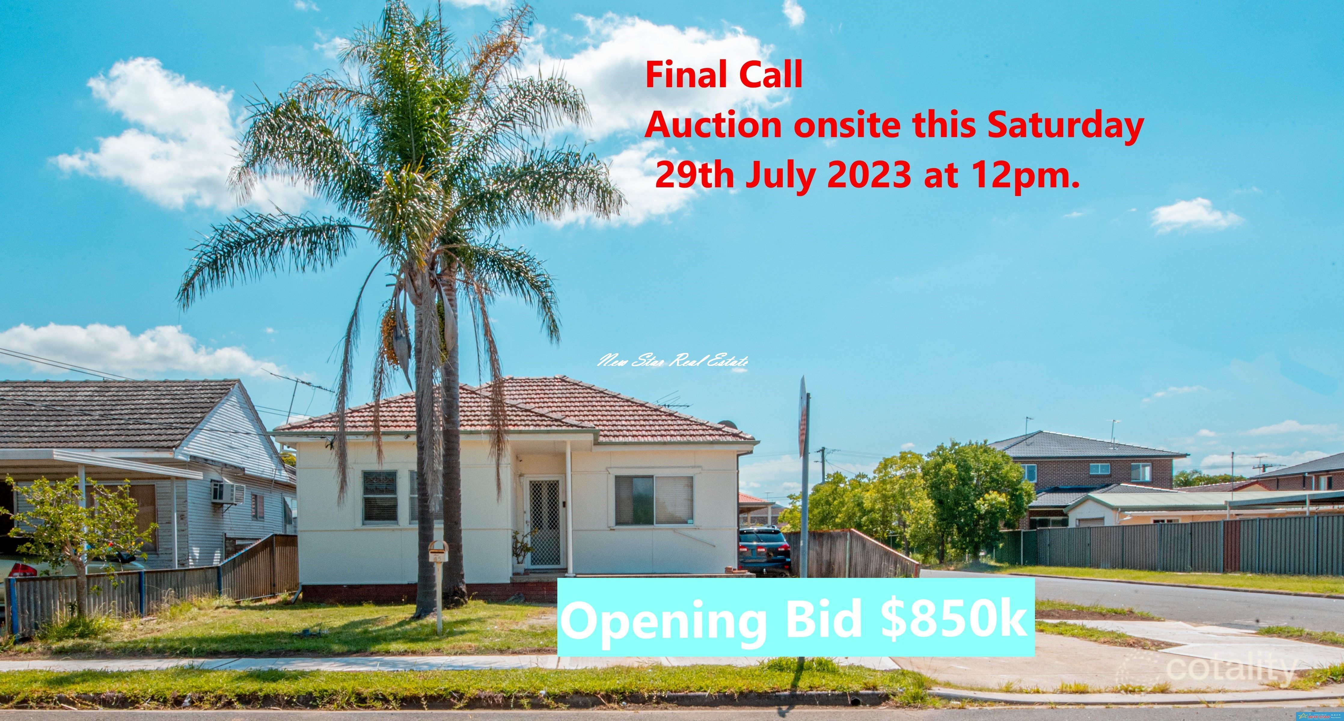 45 Buckingham St, Canley Heights, NSW 2166