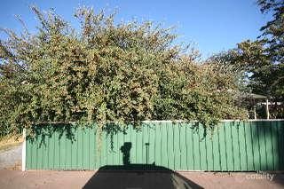 342 Morphett Rd, Warradale, SA 5046