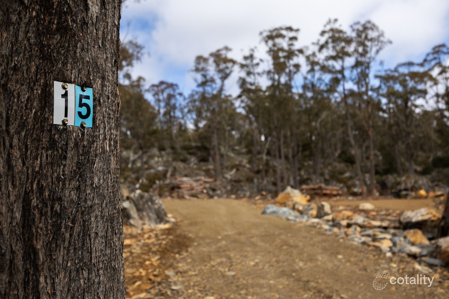 15 Drysdale Rd, Miena, TAS 7030