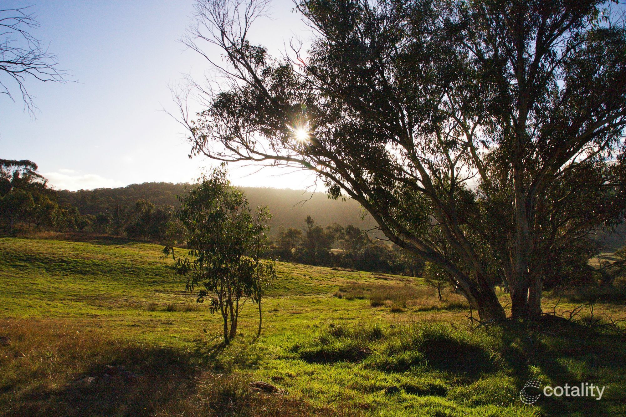 3150 Jerangle Rd, Jerangle, NSW 2630