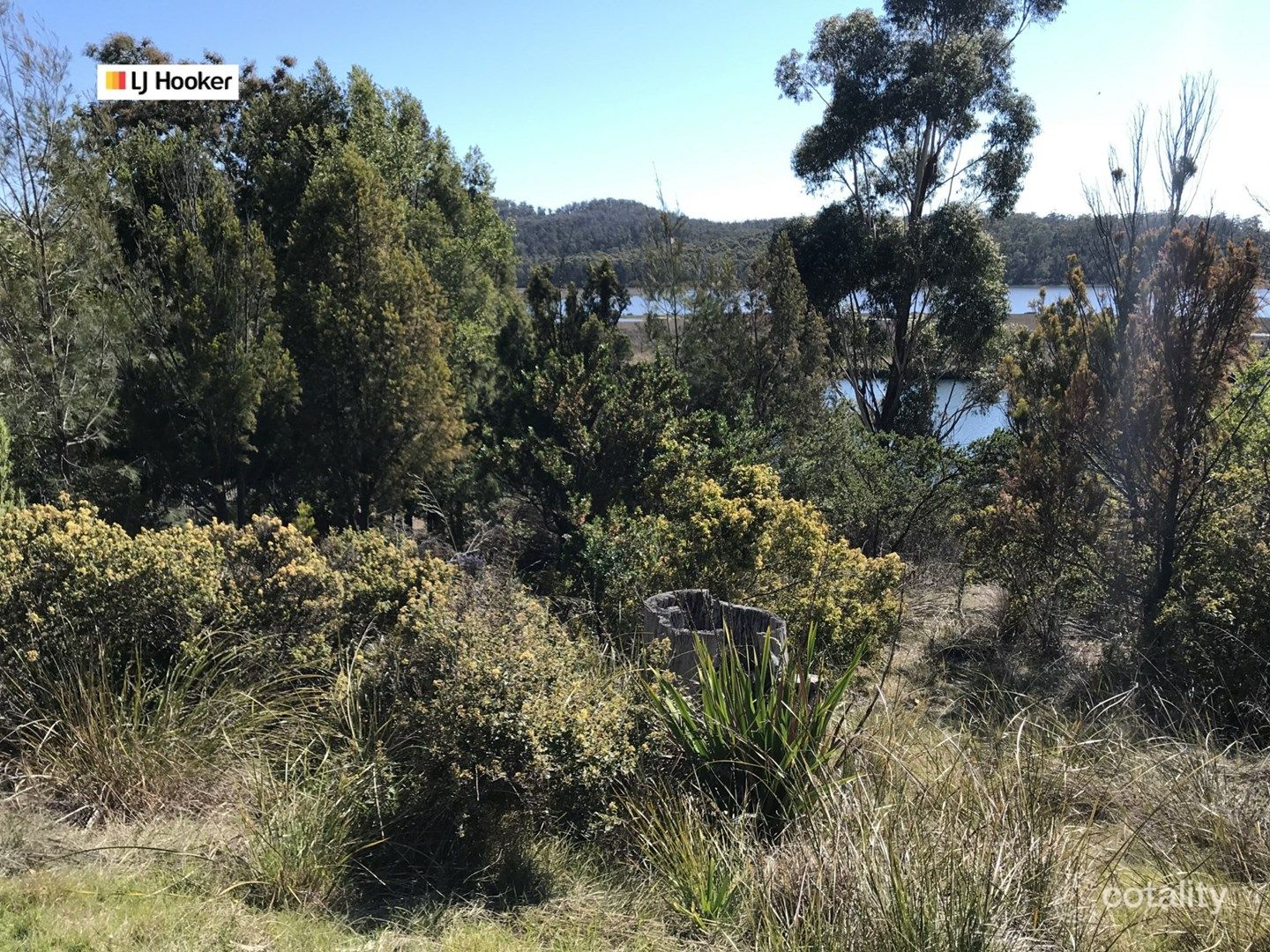 2 Wigram St, Scamander, TAS 7215